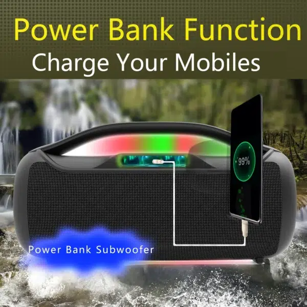 Custom 80w Subwoofer Waterproof Portable Outdoor Speaker